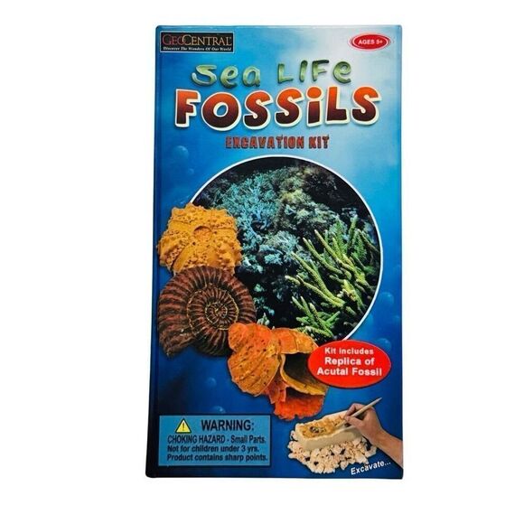 GeoCentral Sea Life Fossil Dig Set - New - Picture 1 of 3